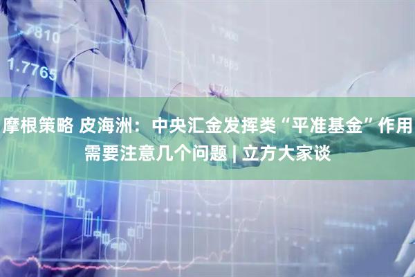 摩根策略 皮海洲：中央汇金发挥类“平准基金”作用需要注意几个问题 | 立方大家谈