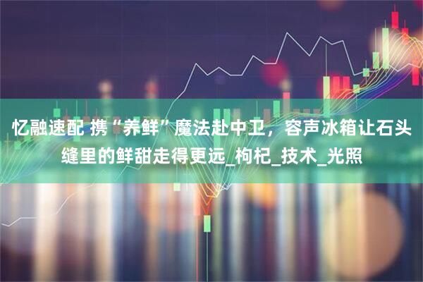 忆融速配 携“养鲜”魔法赴中卫，容声冰箱让石头缝里的鲜甜走得更远_枸杞_技术_光照
