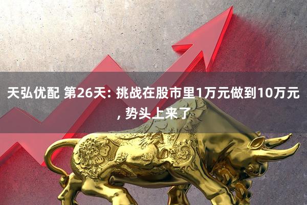 天弘优配 第26天: 挑战在股市里1万元做到10万元, 势头上来了