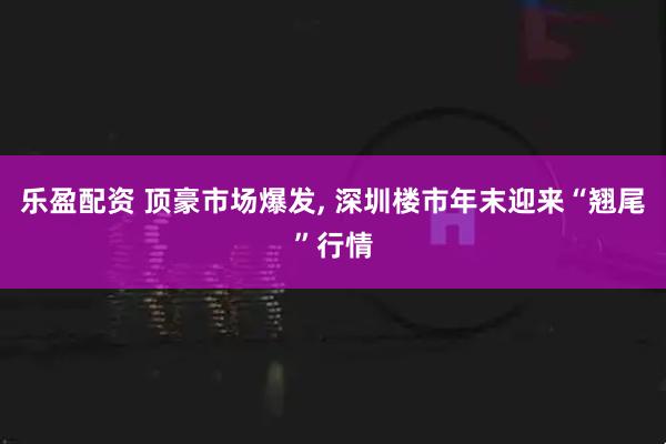 乐盈配资 顶豪市场爆发, 深圳楼市年末迎来“翘尾”行情